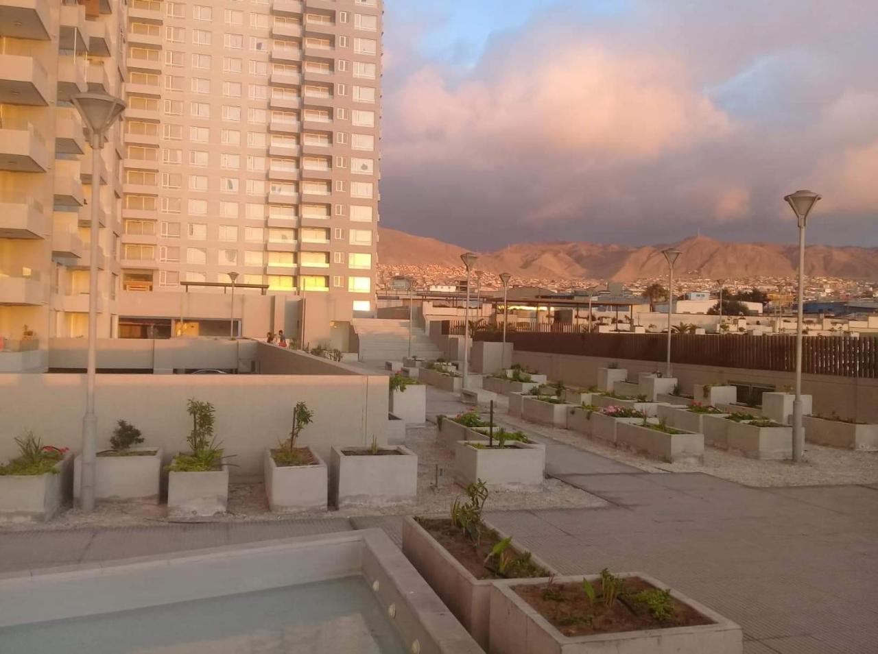 Hermoso Departamento Con Vista Al Mar Антофагаста Екстериор снимка